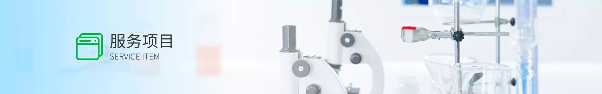 服务项目